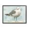 Stupell Industries Soft Focus Seagull On Waterfront Beige Blue in Black Frame Wall Art